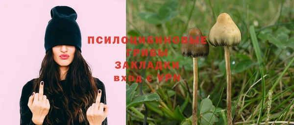 таблы Снежногорск